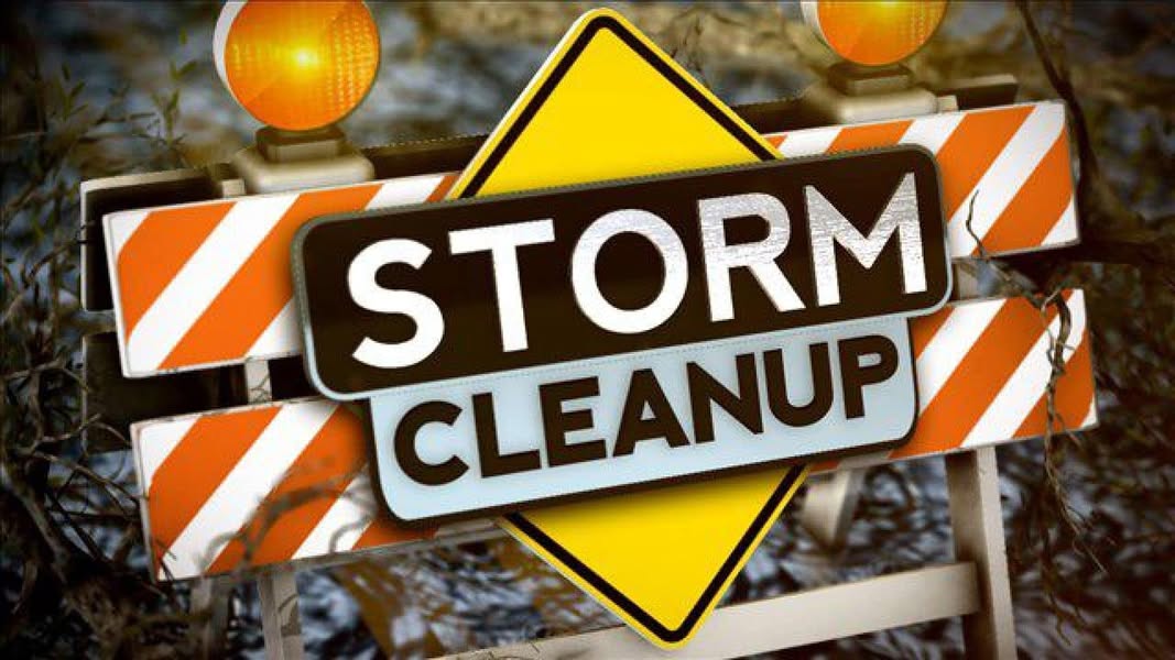 Storm debris cleanup service graphic for clearing downed limbs and access areas