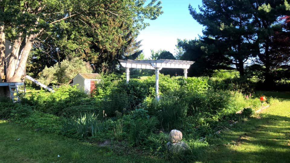Garden and pergola area with dense plantings after restoration work