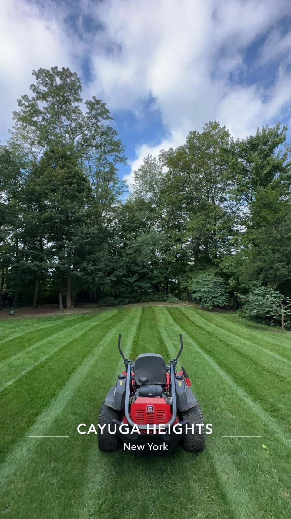 Striped lawn with mower visible at the lower edge