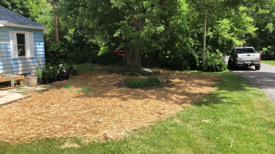 Yard and bed preparation beside a house with ground cover and driveway access